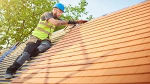 Best Roof Moss and Algae Removal  in Waialua, HI